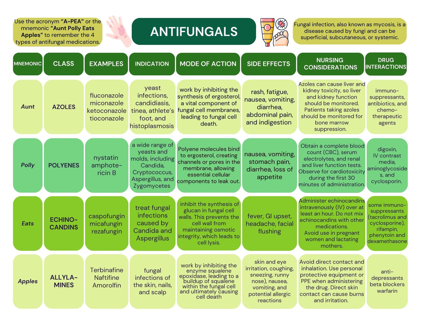 Pharmacology Nursing Cheat Sheet Notes | Pharmacy Notes for Students | Pharmacology Student Study Guide
