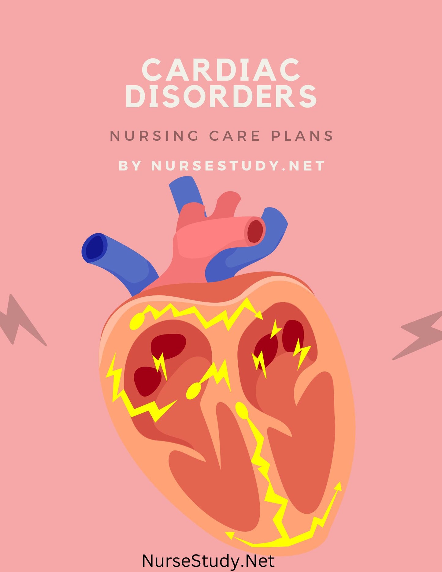 Comprehensive Nursing Care Plans for 19 Cardiac Disorders | Most Common Cardiovascular Disorders | Patient Care Plan | Nursing Bundle