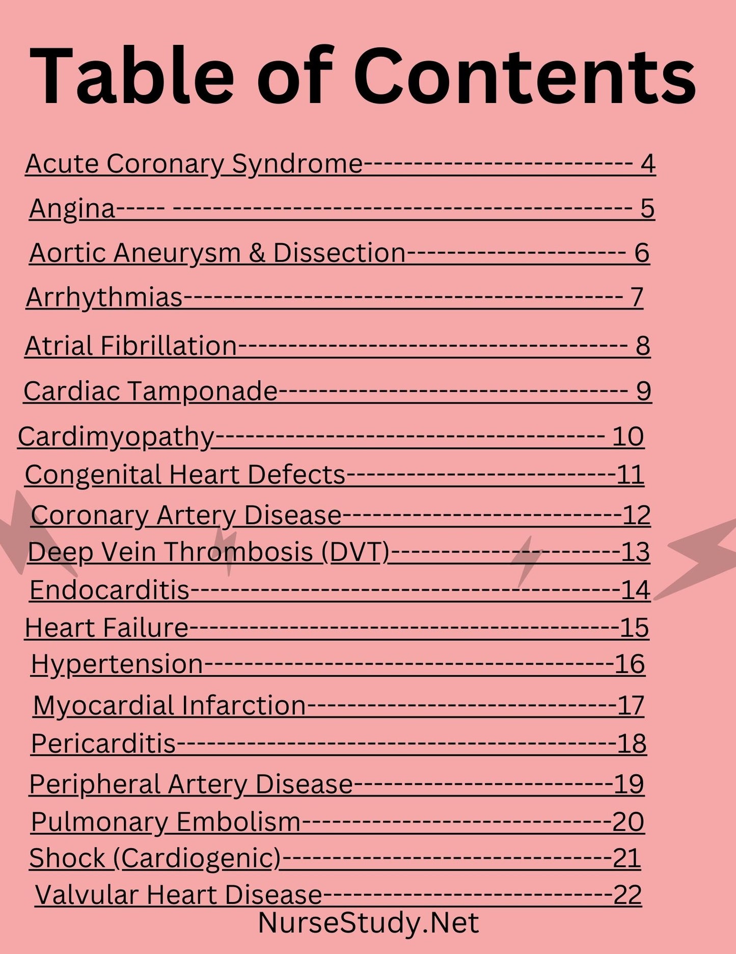 Comprehensive Nursing Care Plans for 19 Cardiac Disorders | Most Common Cardiovascular Disorders | Patient Care Plan | Nursing Bundle