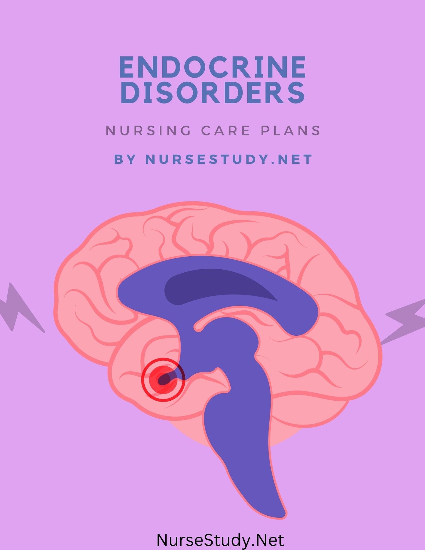 Comprehensive Nursing Care Plans for 15 Endocrine Disorders | Most Common Endocrine Disorders | Patient Care Plan | Nursing Bundle