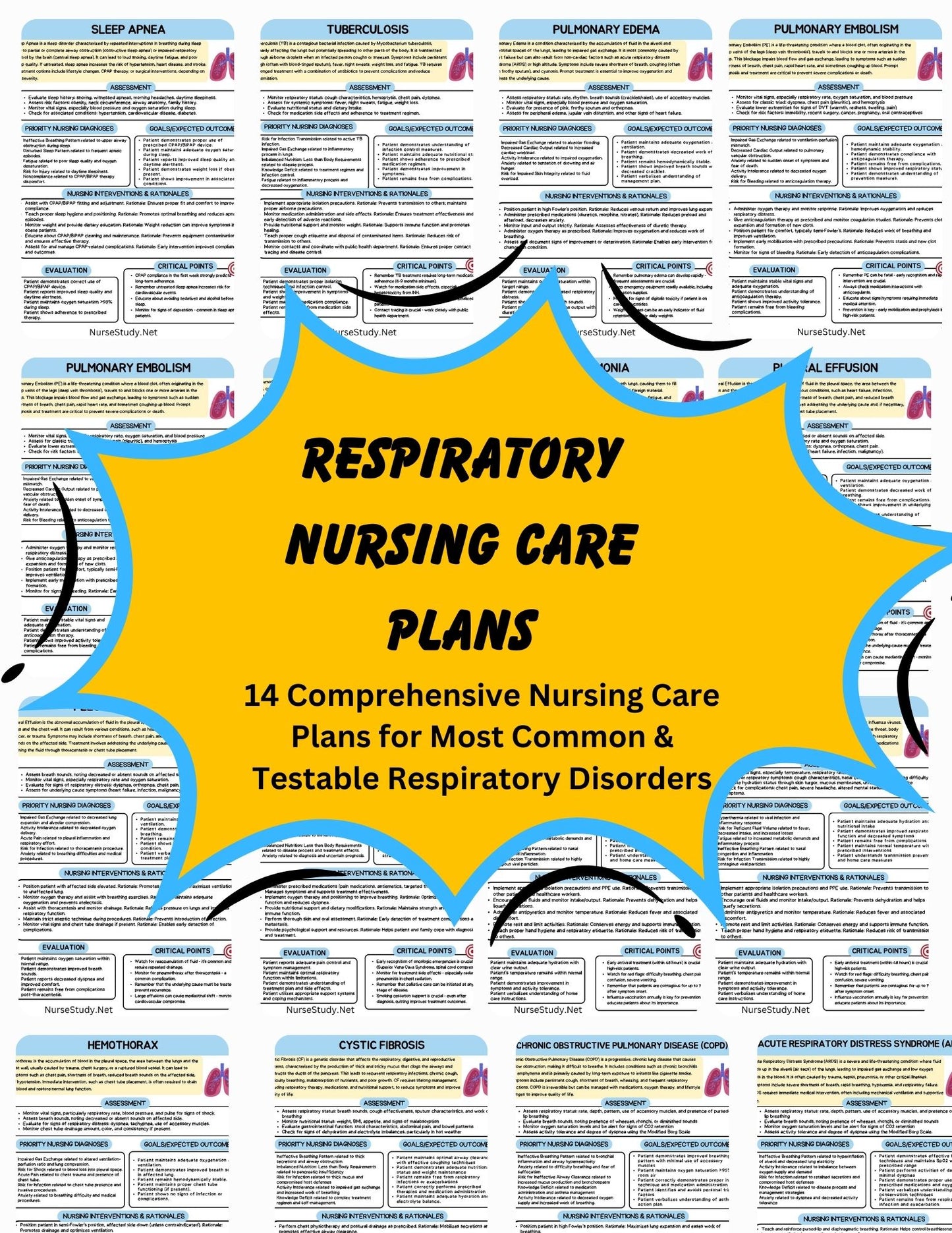 Comprehensive Nursing Care Plans for 14 Respiratory Disorders | Most Common Respiratory Disorders | Patient Care Plan | Nursing Bundle