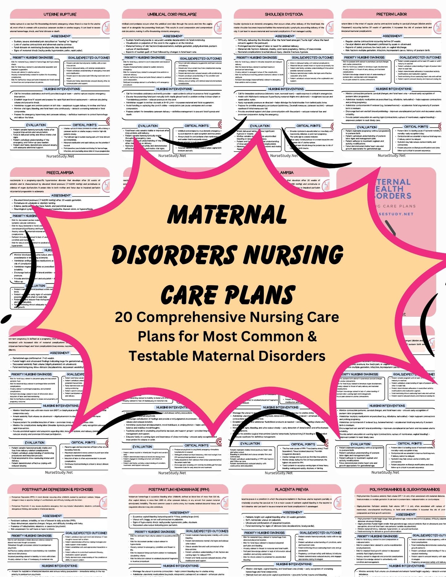 20 Maternity Nursing Care Plans Bundle NCLEX RN PN Study Guide Nursing Student Digital Download Maternal Care Plan Pack