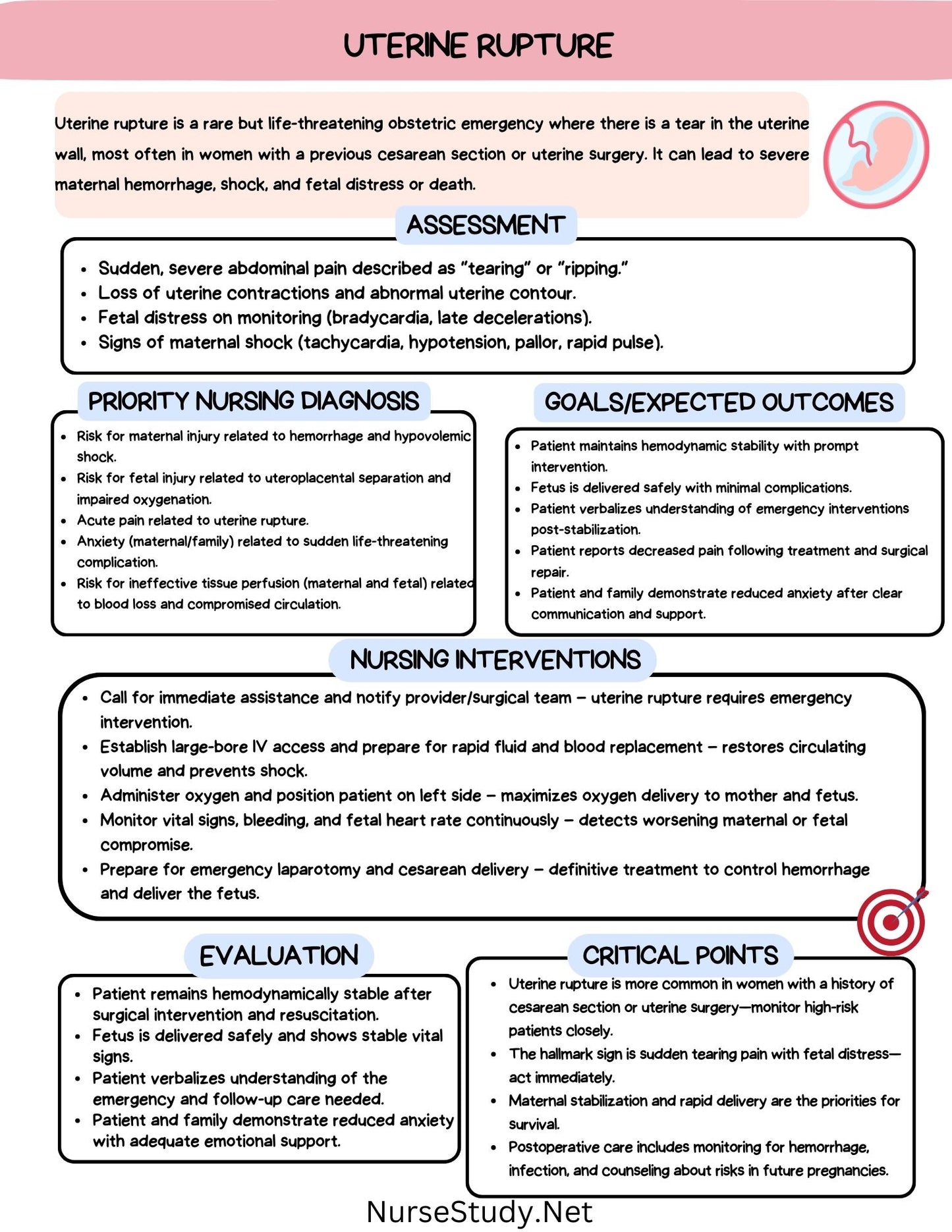20 Maternity Nursing Care Plans Bundle NCLEX RN PN Study Guide Nursing Student Digital Download Maternal Care Plan Pack
