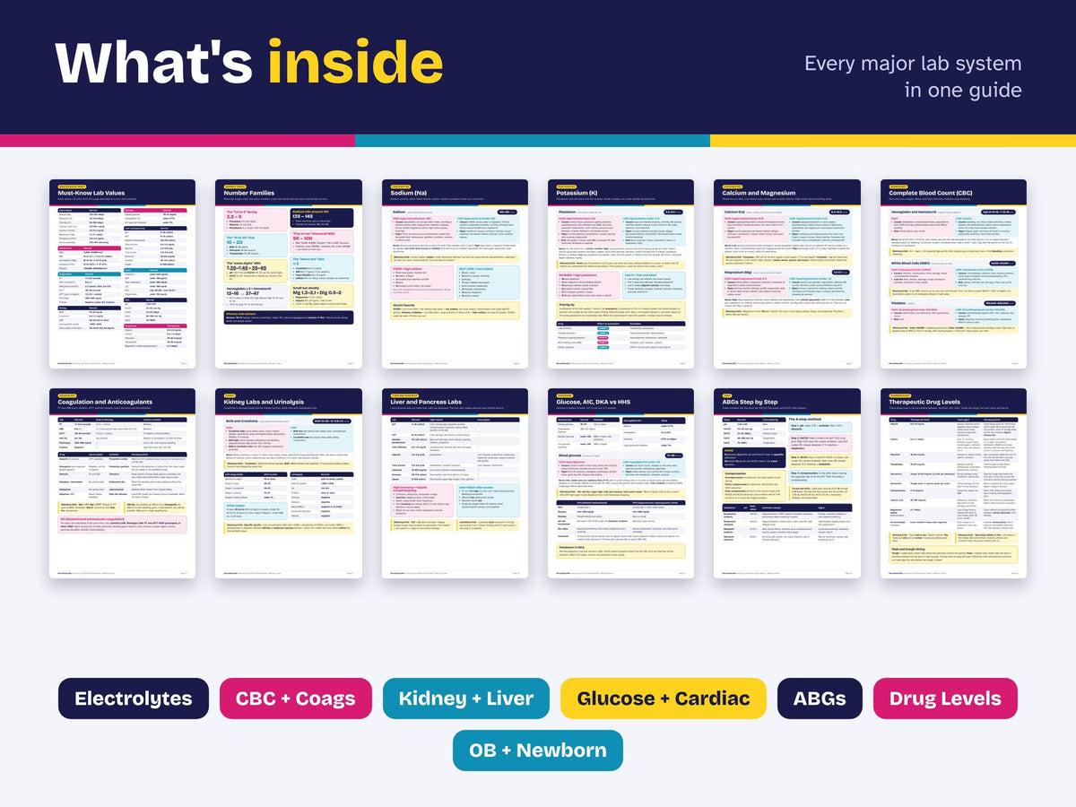 Nursing Lab Values Cheat Sheet PDF | Lab Values Study Guide with Memory Tricks | NCLEX Review | ABGs, Electrolytes | Instant Download