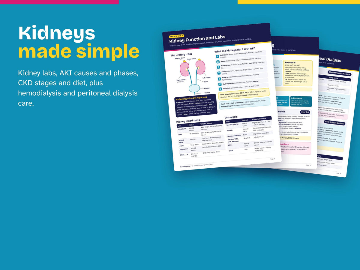 GI and Renal Nursing Cheat Sheets | Med Surg Study Guide | Ostomy, Cirrhosis, Kidney Disease, Dialysis | NCLEX Review Printable