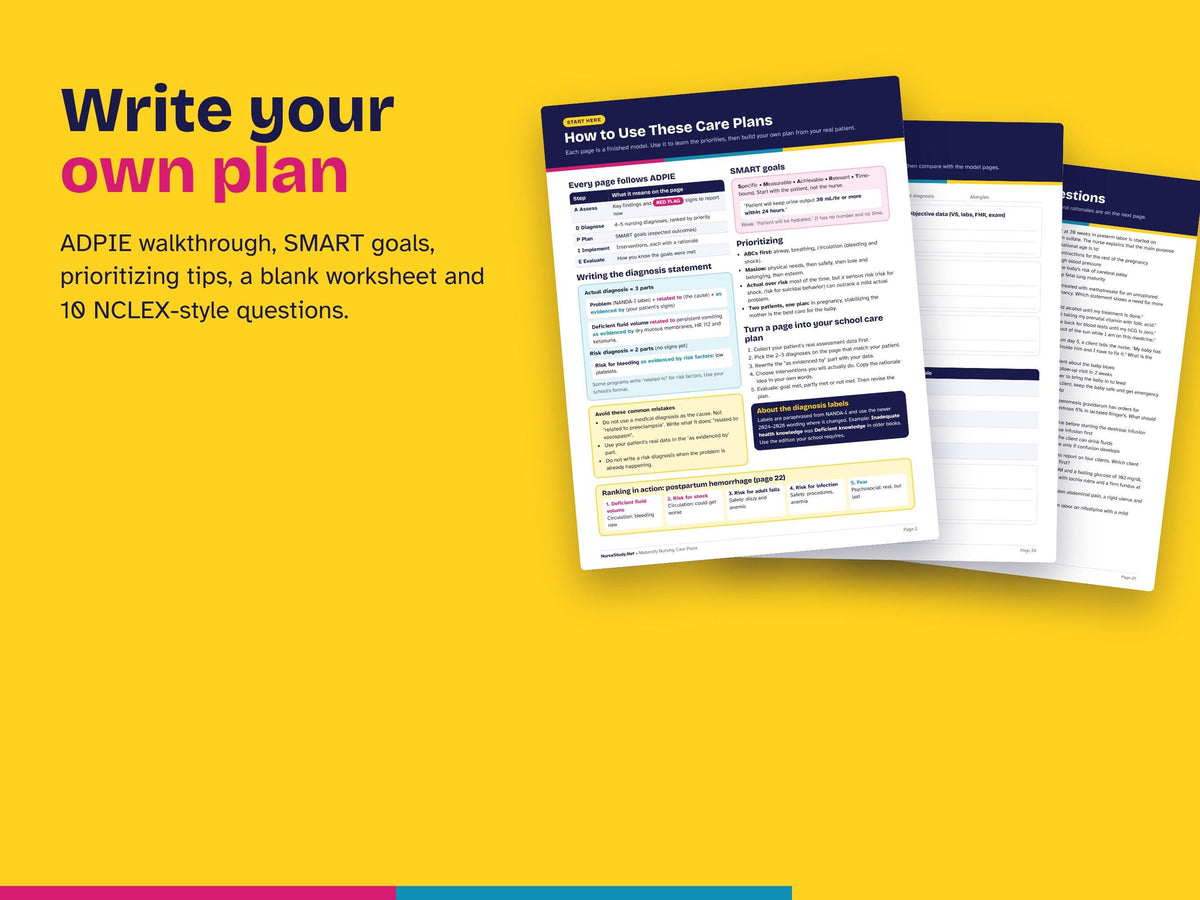 Maternity Nursing Care Plans PDF | 20 OB Care Plans with Rationales | NCLEX Study Guide | Nursing Student Printable | Blank Worksheet
