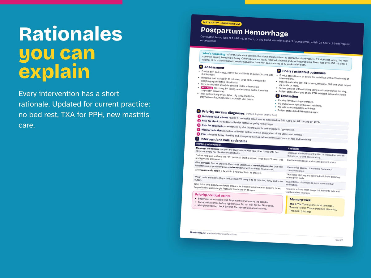 Maternity Nursing Care Plans PDF | 20 OB Care Plans with Rationales | NCLEX Study Guide | Nursing Student Printable | Blank Worksheet