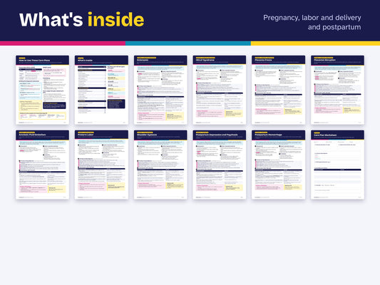 Maternity Nursing Care Plans PDF | 20 OB Care Plans with Rationales | NCLEX Study Guide | Nursing Student Printable | Blank Worksheet