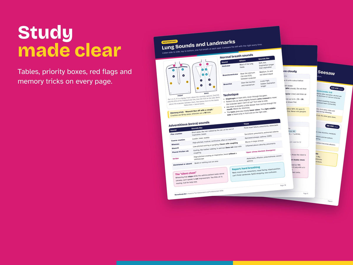 First Semester Nursing School Bundle PDF | Head to Toe, Dosage Calc, Lab Values, Drug Cards, Concept Map, Clinical Binder