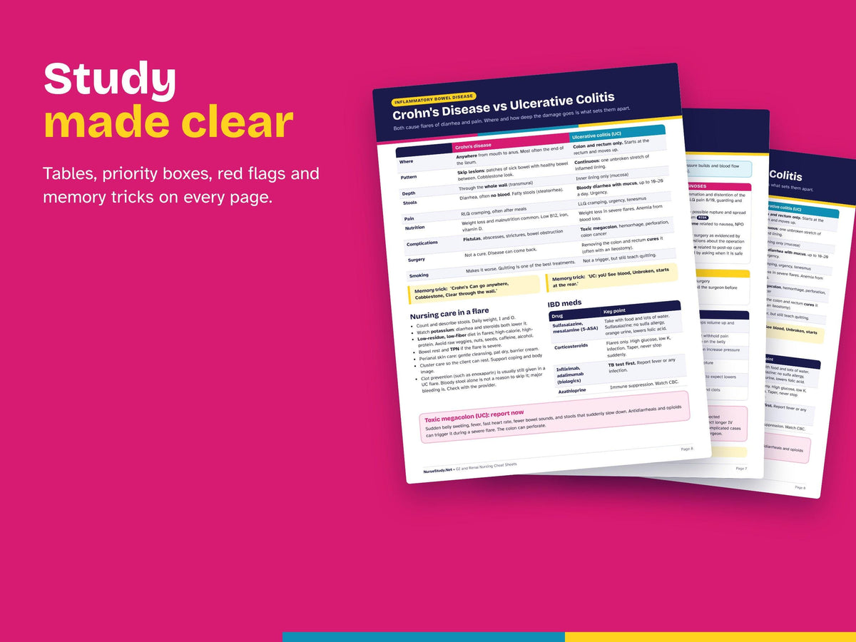 GI Nursing Bundle | Gastrointestinal and Renal Cheat Sheets + Gastrointestinal Care Plans | Nursing Study Guide | Hyperlinked Printable PDF
