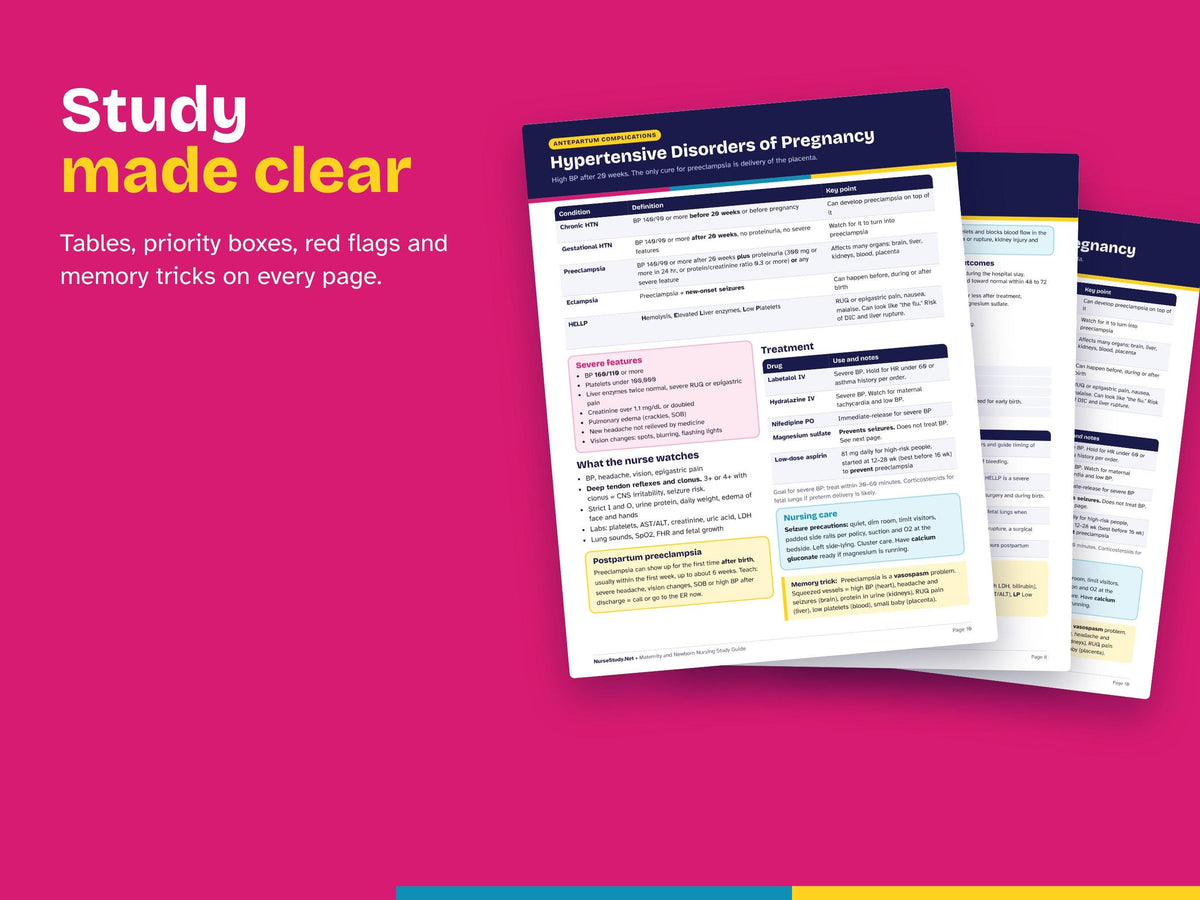 Maternity Nursing Bundle PDF | Maternity and Newborn Nursing Study Guide + Maternity Nursing Care Plans | NCLEX Study Guide | Hyperlinked