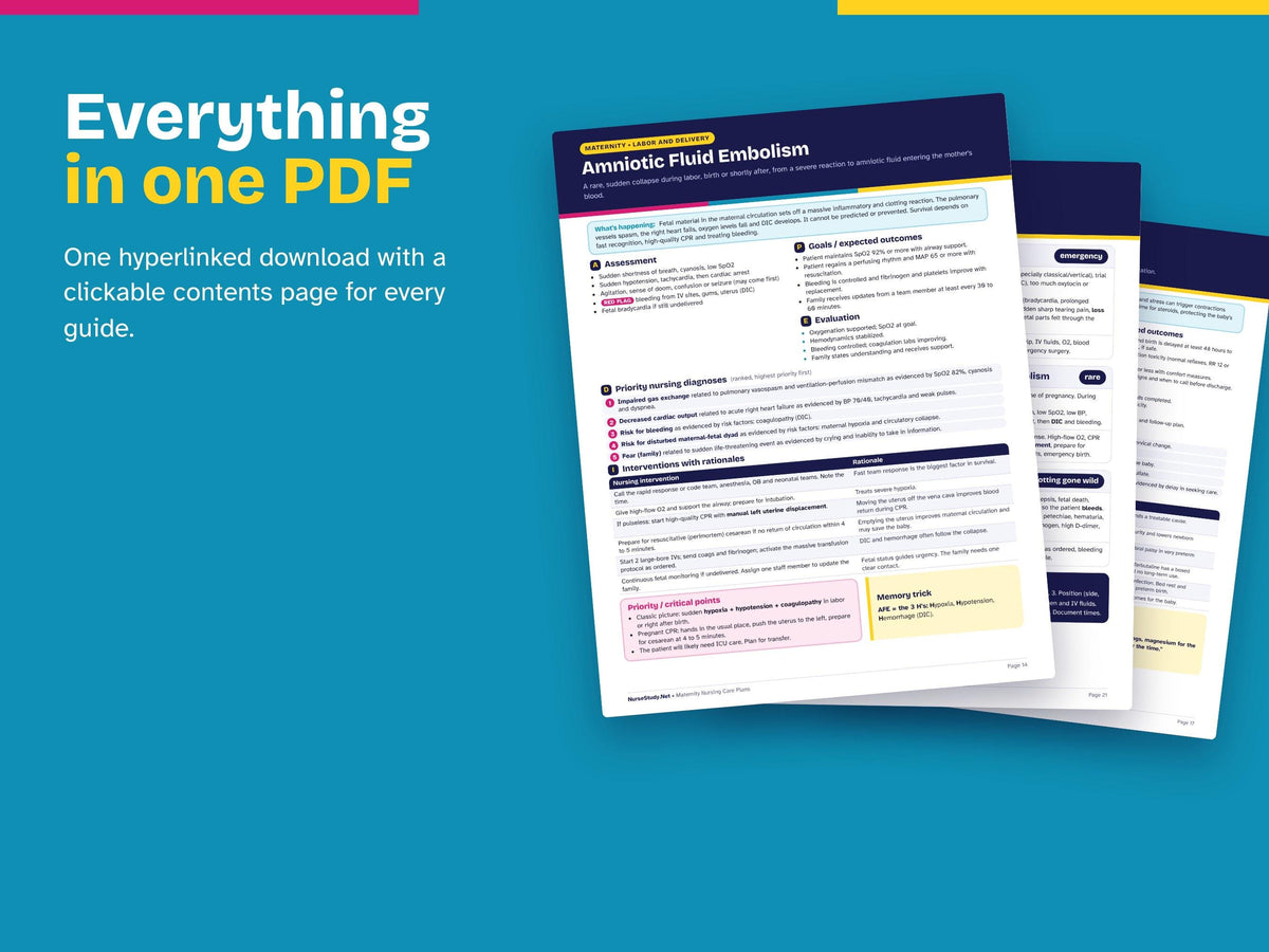 Maternity Nursing Bundle PDF | Maternity and Newborn Nursing Study Guide + Maternity Nursing Care Plans | NCLEX Study Guide | Hyperlinked