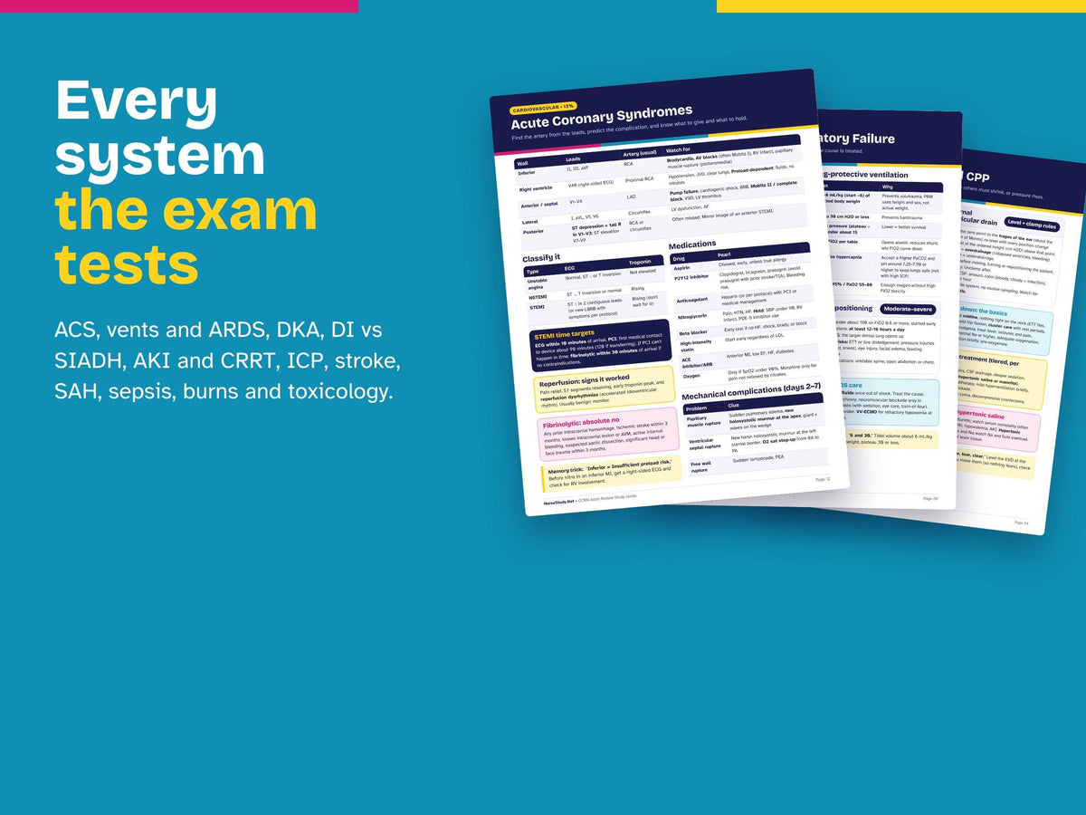 CCRN Adult Review Study Guide PDF | 100 Practice Questions | Hemodynamics, Synergy Model | Critical Care ICU Nurse Printable