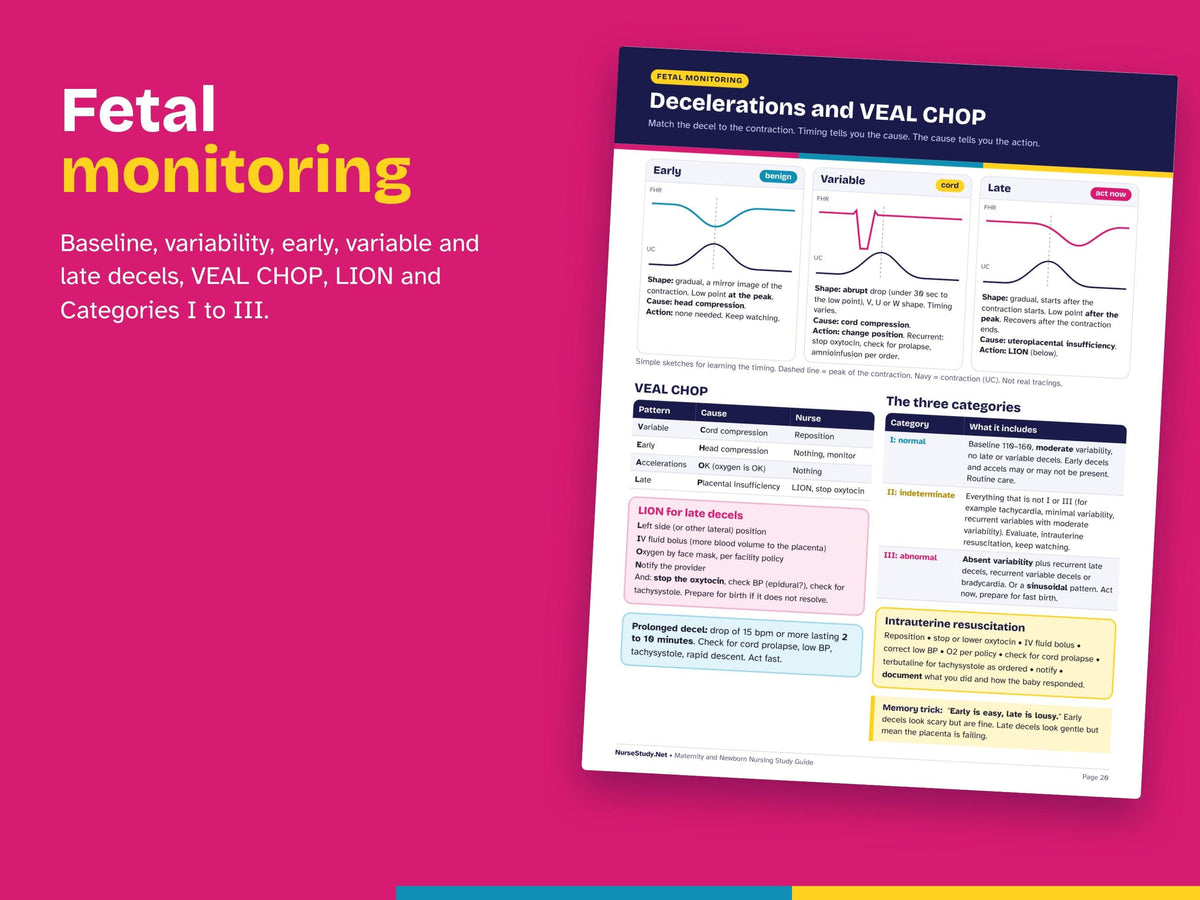Maternity Nursing Study Guide PDF | OB Nursing Notes | Labor, Postpartum and Newborn | Fetal Monitoring | NCLEX Review | Printable