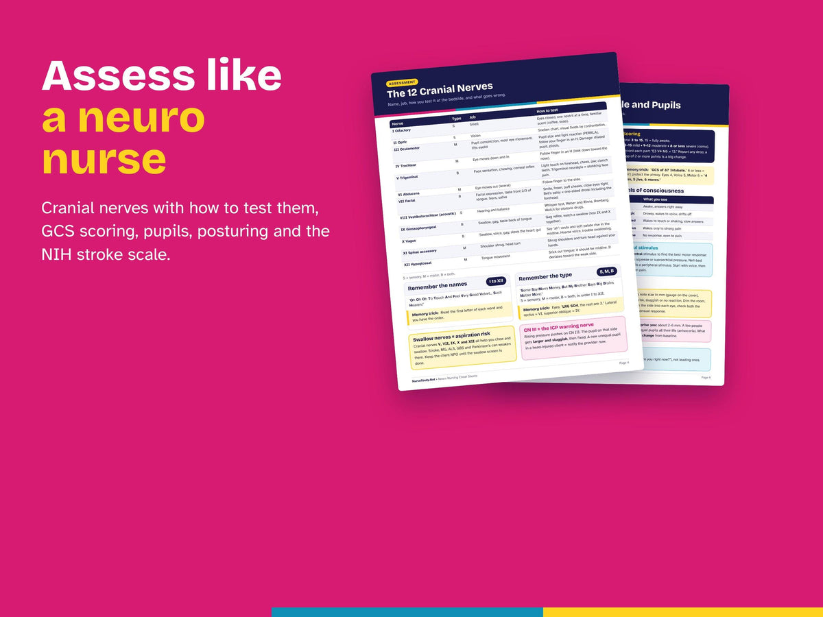 Neuro Nursing Cheat Sheets | Stroke, Seizures, Cranial Nerves, GCS, ICP | Neurological Study Guide | NCLEX Review Printable