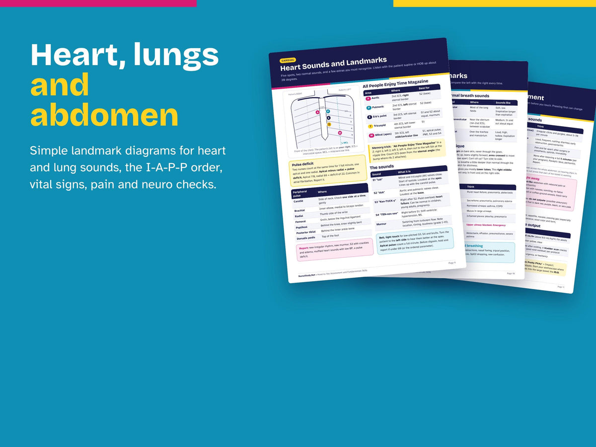 Head to Toe Assessment Study Guide Hyperlinked PDF | Nursing Fundamentals Skills Cheat Sheet | Clinical Checklist | NCLEX Review Printable
