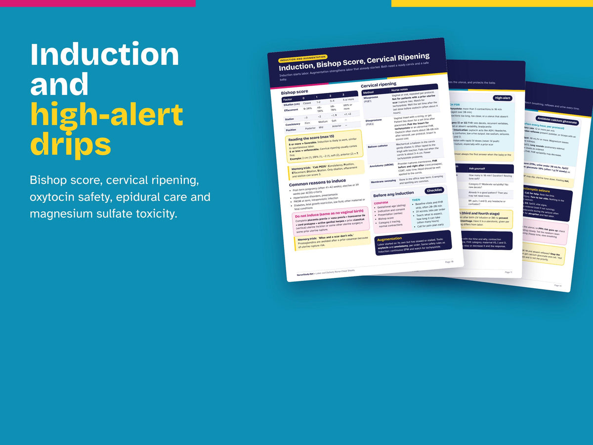 Labor and Delivery Nurse Cheat Sheets PDF | New Grad L&D Nurse Study Guide | Fetal Monitoring, Decels, Oxytocin, Postpartum Hemorrhage