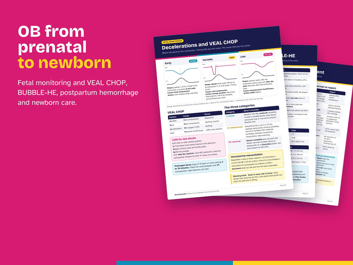 Maternity, Labor and Delivery and Pediatric Nursing Bundle PDF | OB and Peds Study Guides | Fetal Monitoring, Newborn | NCLEX Review