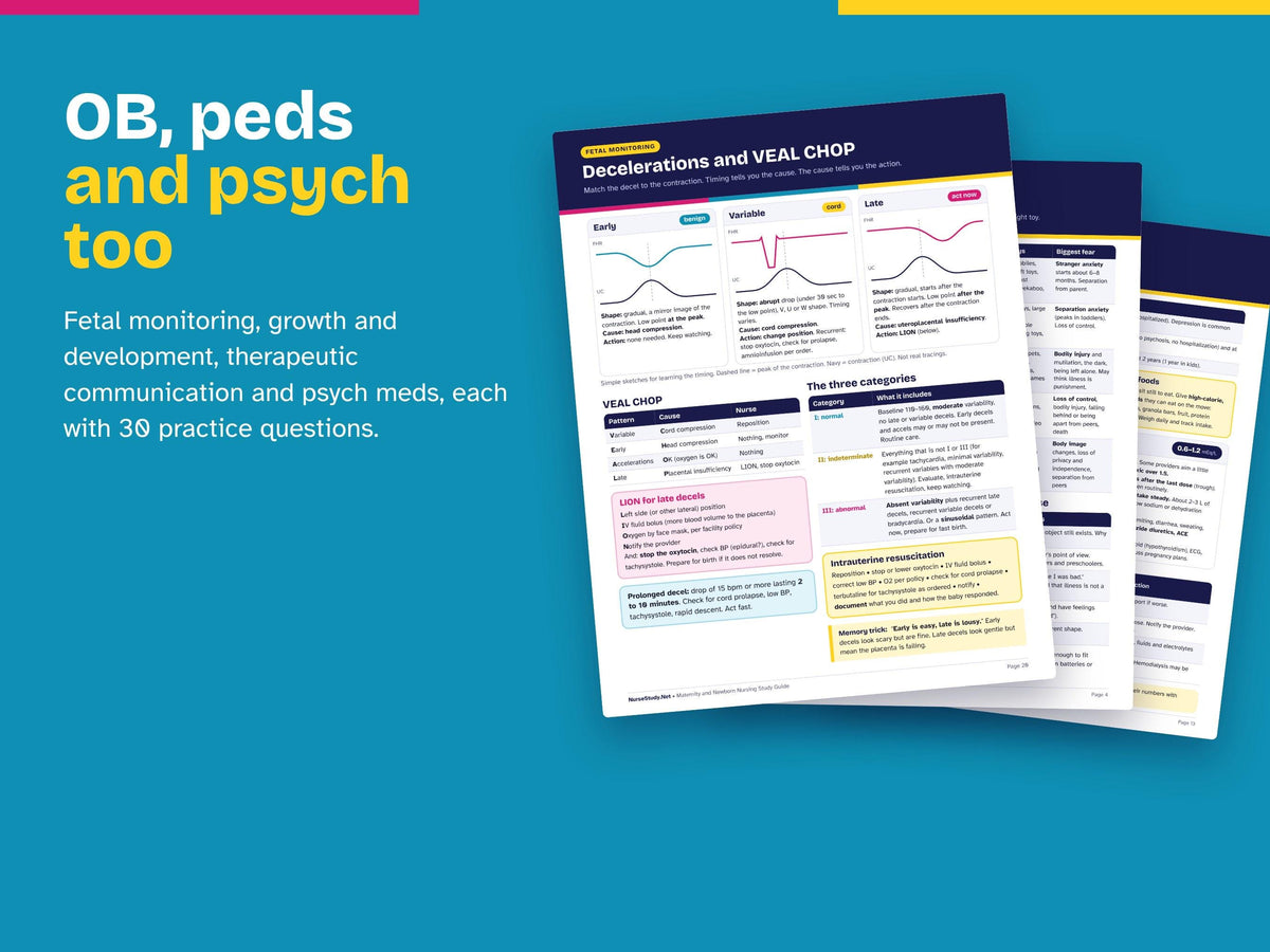 Nursing School Study Guide Bundle PDF | 20 Printable Cheat Sheets and Guides | Med-Surg, Pharm, Labs, OB, Peds, Psych | NCLEX Review