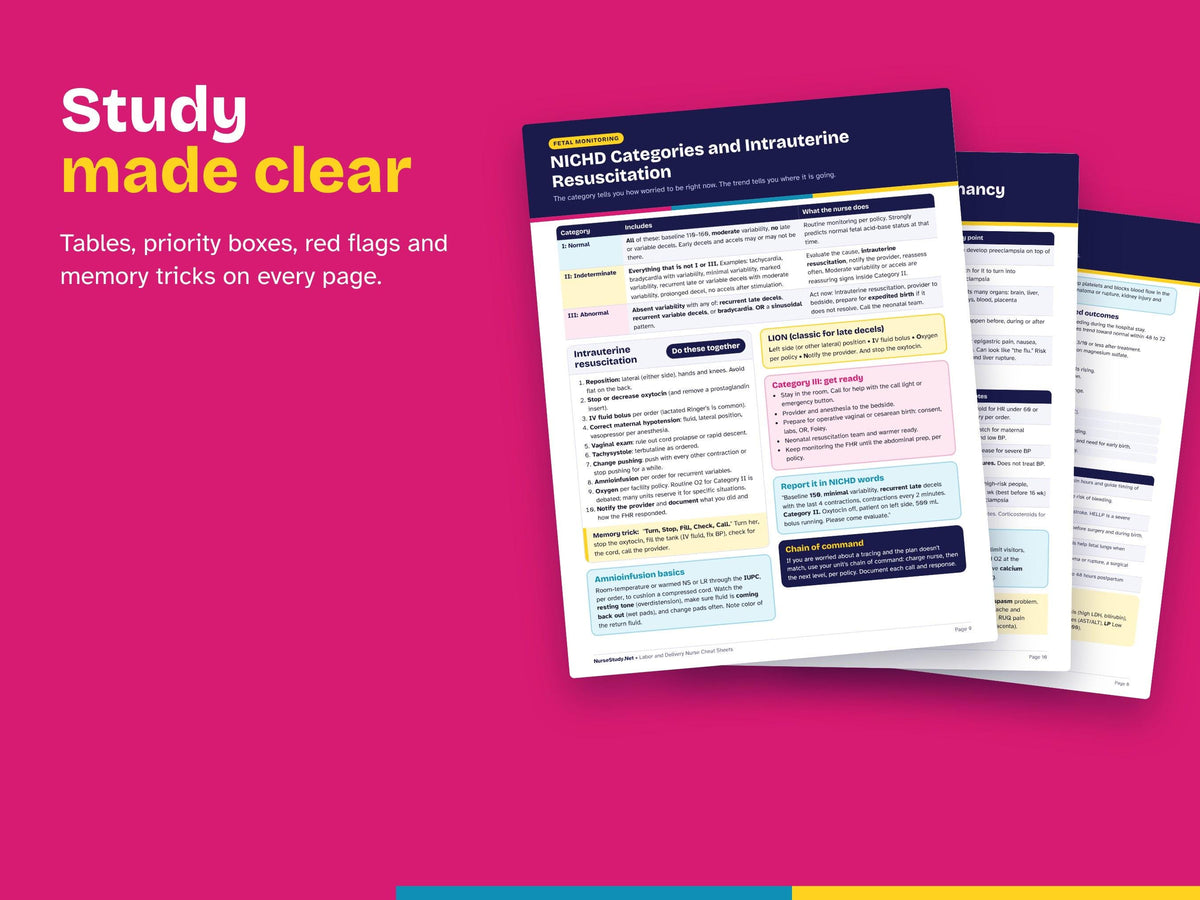 Labor and Delivery Nurse Bundle PDF | L and D Cheat Sheets, Maternity Study Guide, OB Care Plans | Hyperlinked Printable