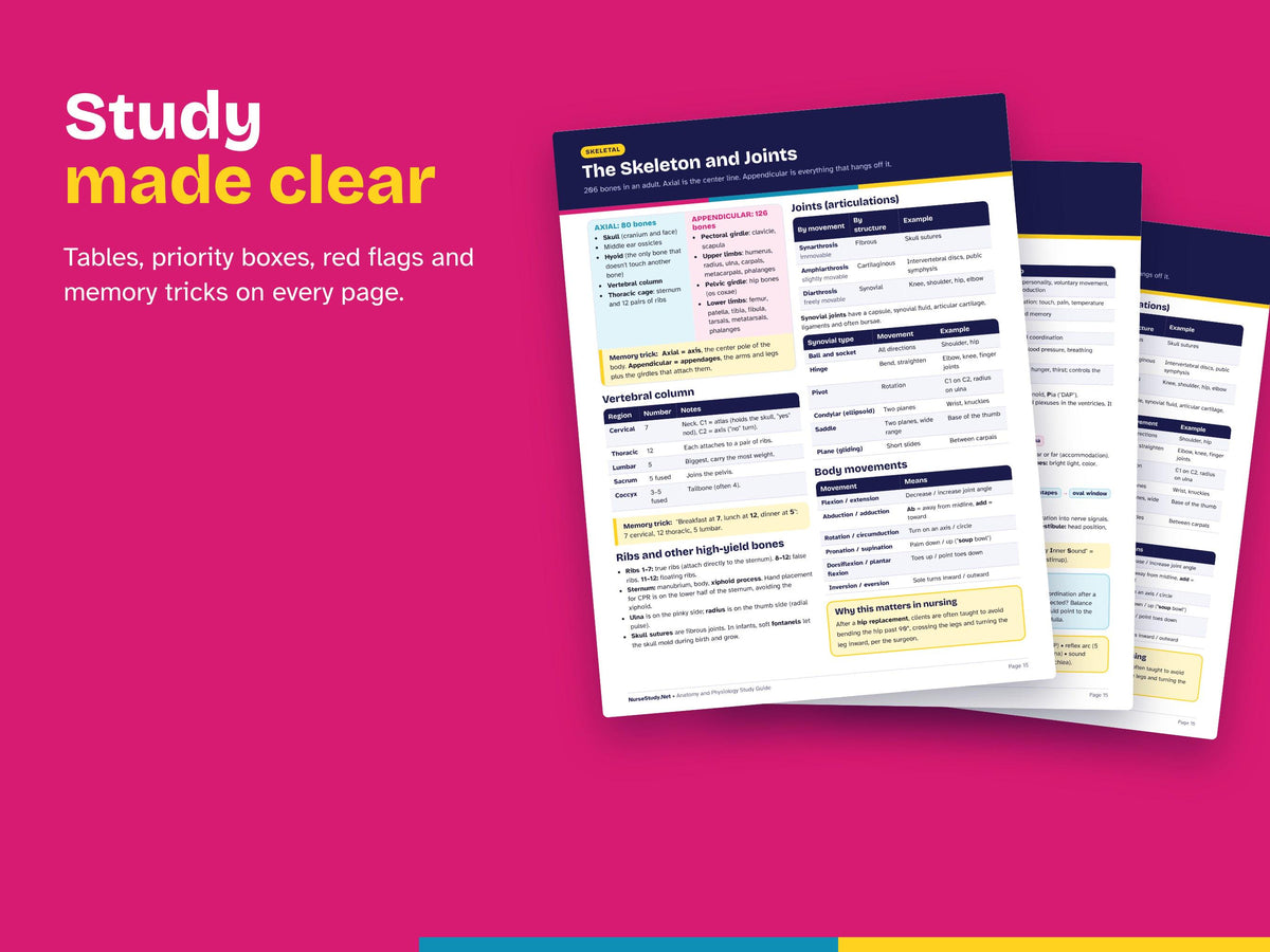 Anatomy and Physiology + TEAS 7 Bundle PDF | A and P Study Guide, Complete Entrance Exam Study Guide, Practice Questions | Pre Nursing