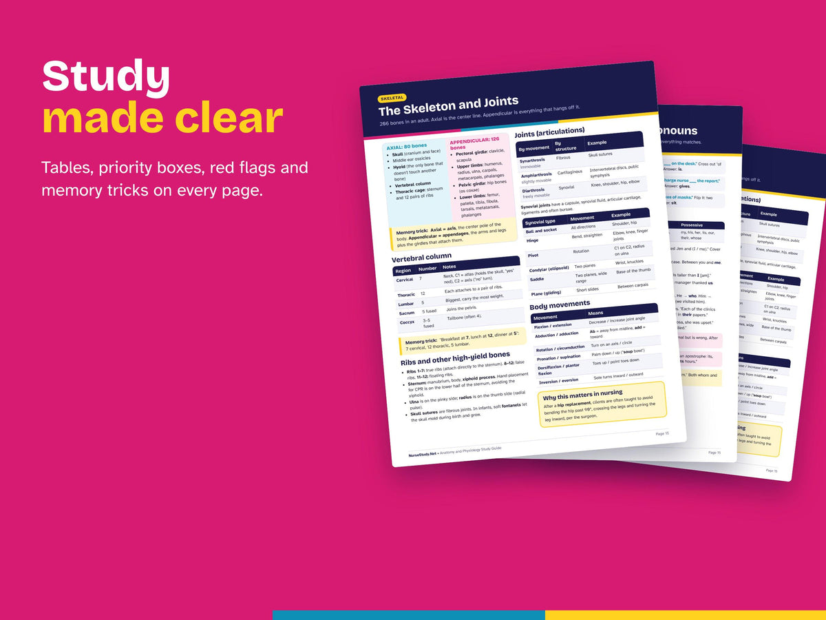 Anatomy and Physiology + HESI A2 Bundle PDF | A and P Study Guide, Admission Exam Study Guide, Practice Questions | Pre Nursing Printable