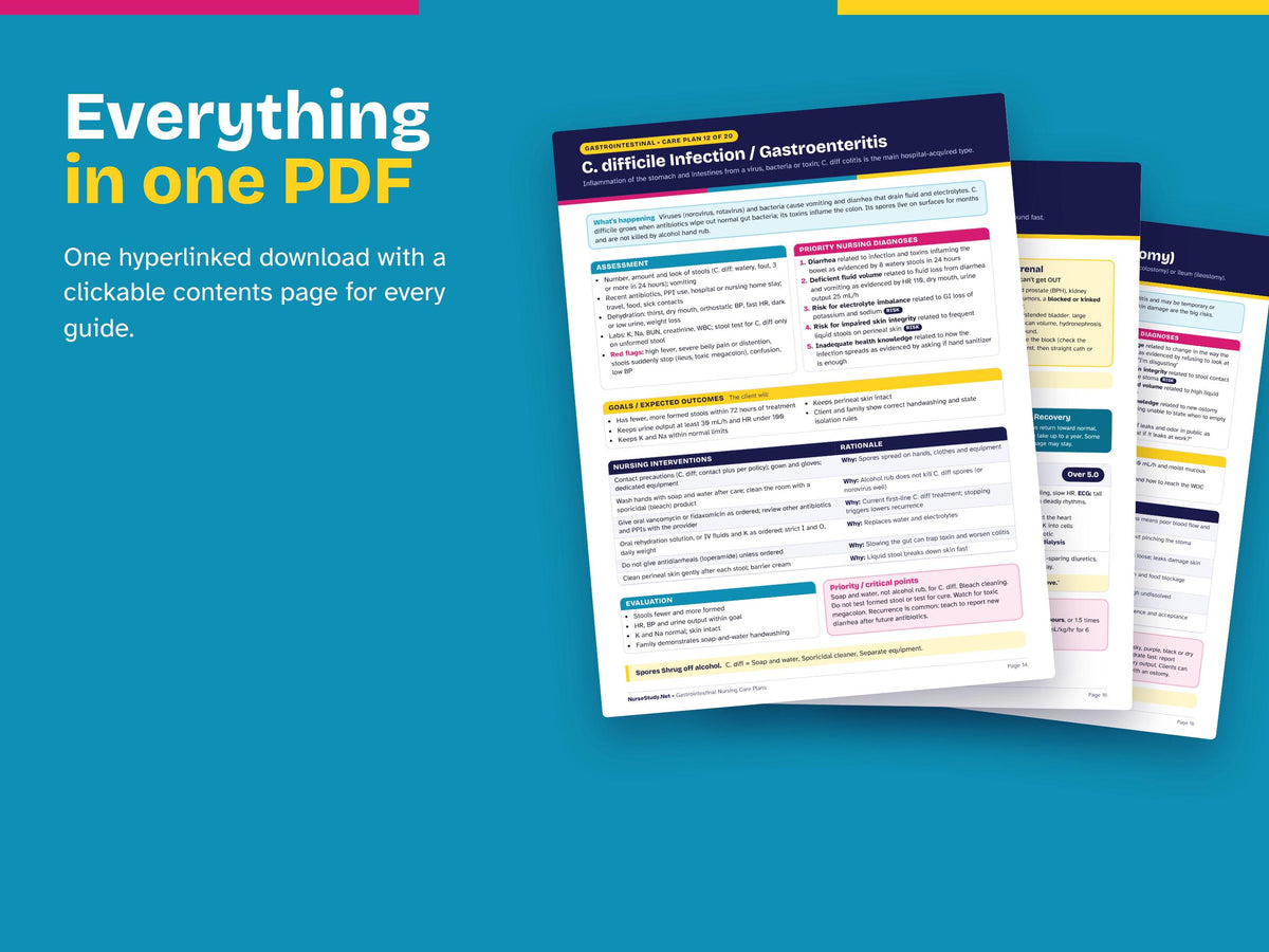 GI Nursing Bundle | Gastrointestinal and Renal Cheat Sheets + Gastrointestinal Care Plans | Nursing Study Guide | Hyperlinked Printable PDF