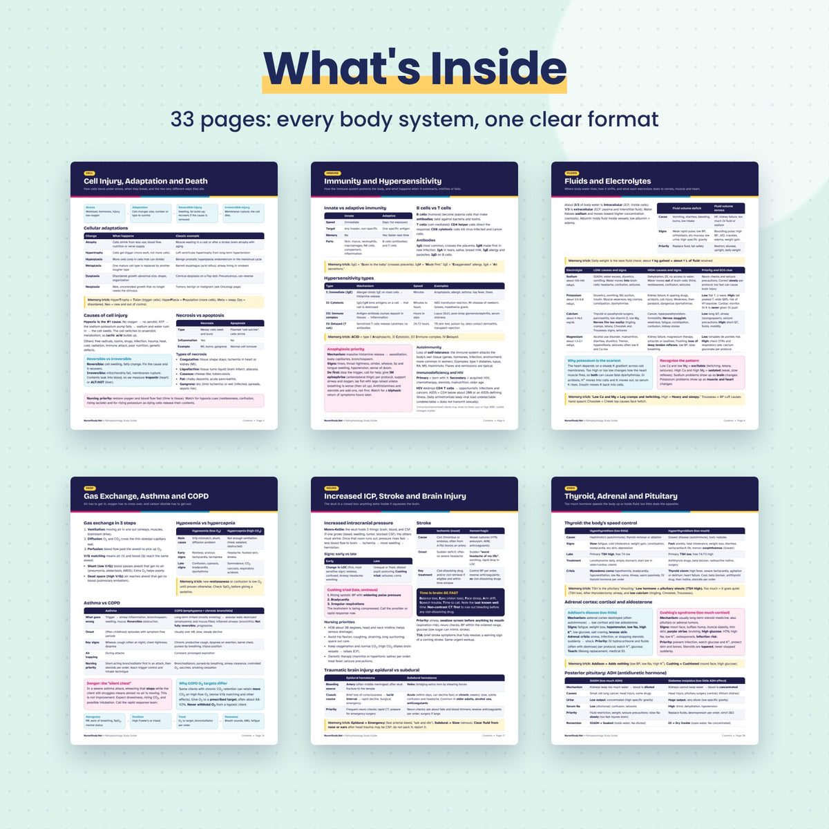 Pathophysiology Study Guide PDF | Nursing Patho Notes, Cause Signs Priority | 30 NCLEX Questions | Hyperlinked Printable Nursing Student