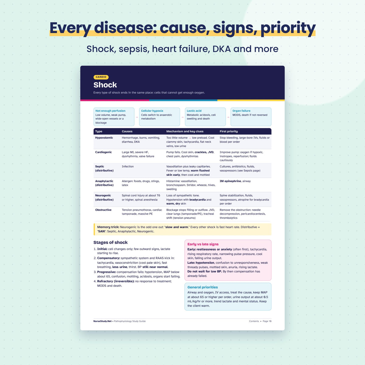 Pathophysiology Study Guide PDF | Nursing Patho Notes, Cause Signs Priority | 30 NCLEX Questions | Hyperlinked Printable Nursing Student